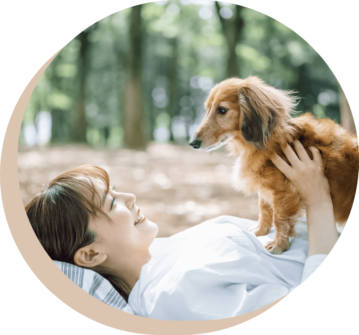 おいでやDOG協会とは