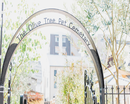 The Olive Tree Pet Cemetery